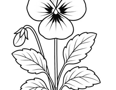 viola fiore
