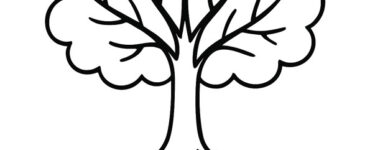 albero radici e chioma