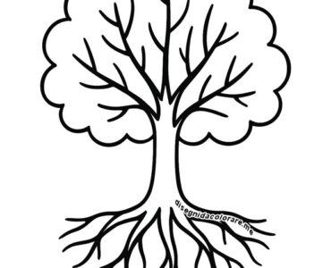 albero radici e chioma