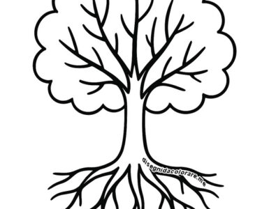 albero radici e chioma
